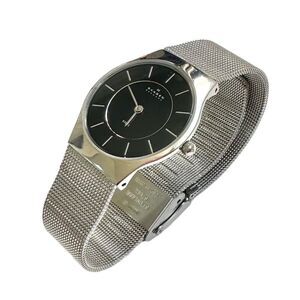 🔃Skagen Denmark Silver Stainless Steel Slim Mesh Watch
